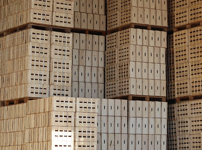 Emballages légers en bois